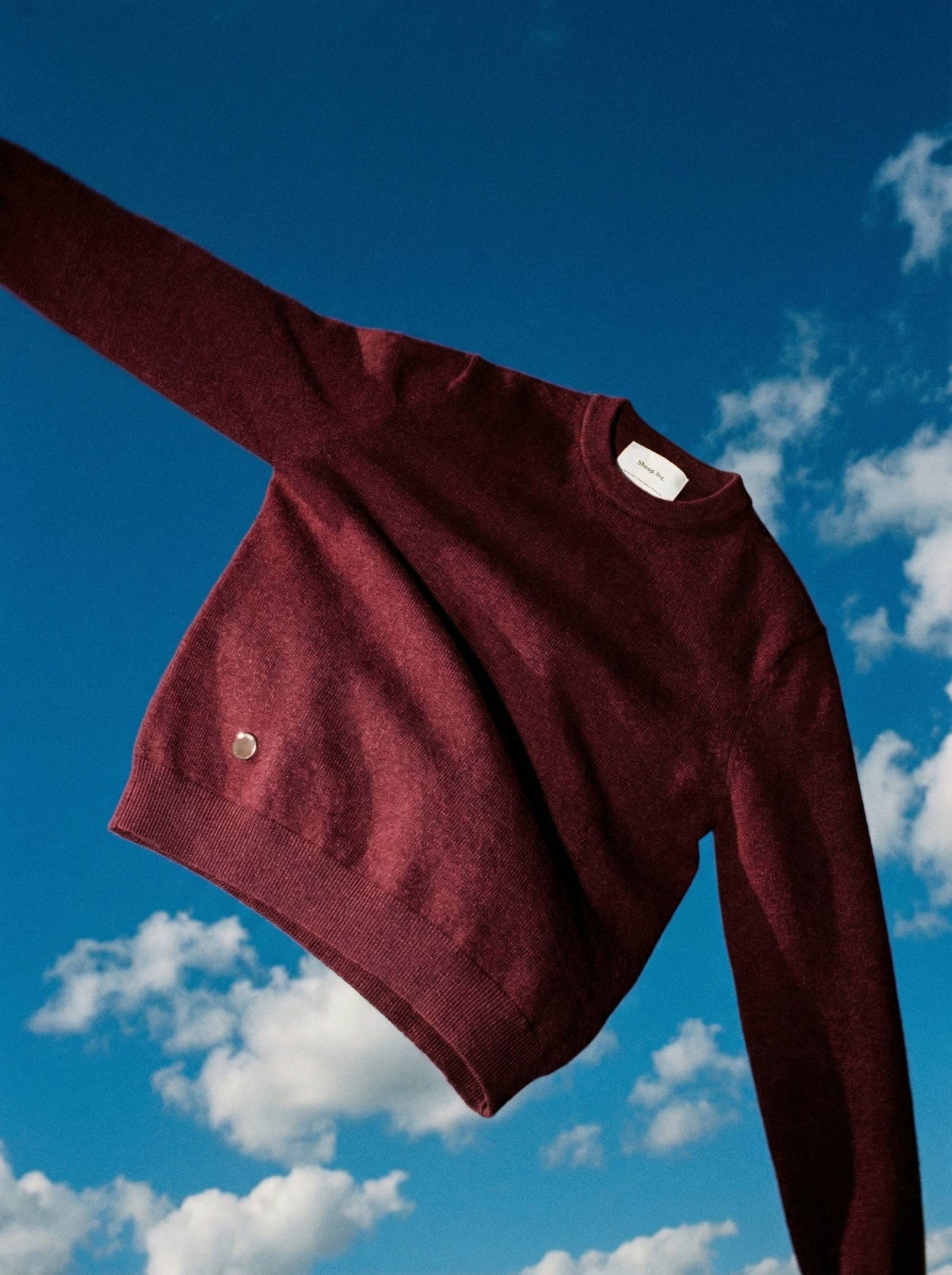The Fine Knit Crewneck Konini Burgundy Male Image