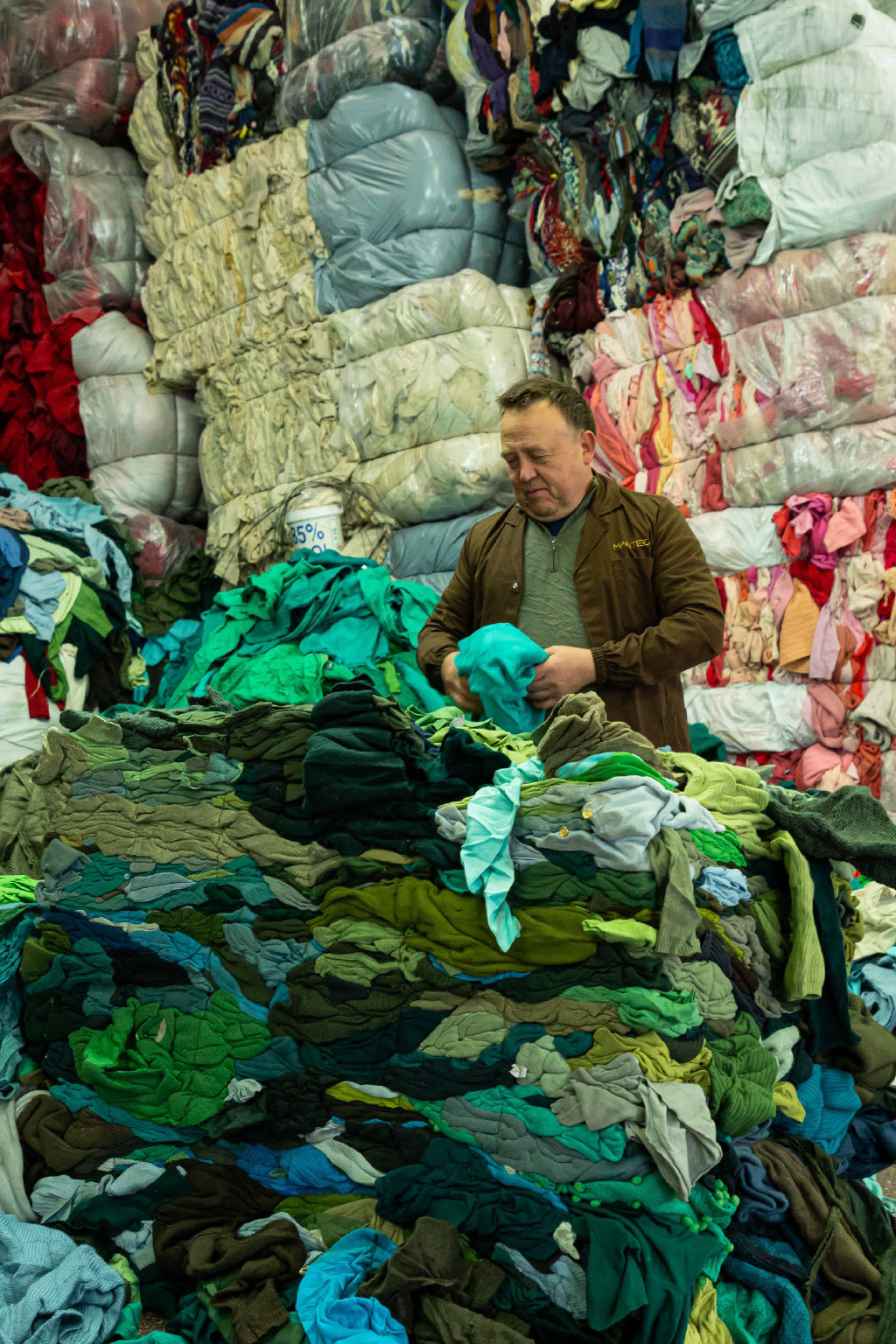 Manteco colour sorting