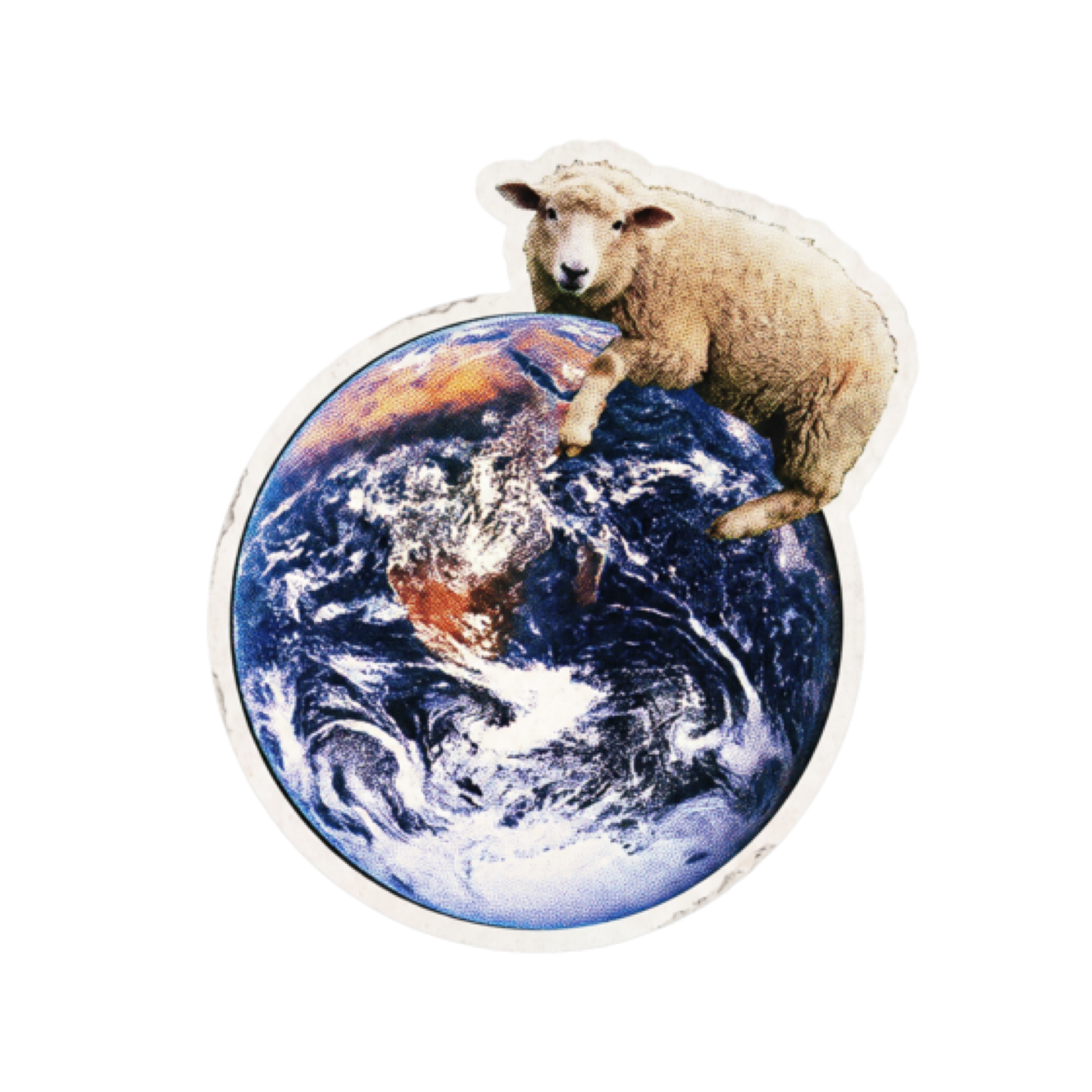 Regenerative merino wool sticker