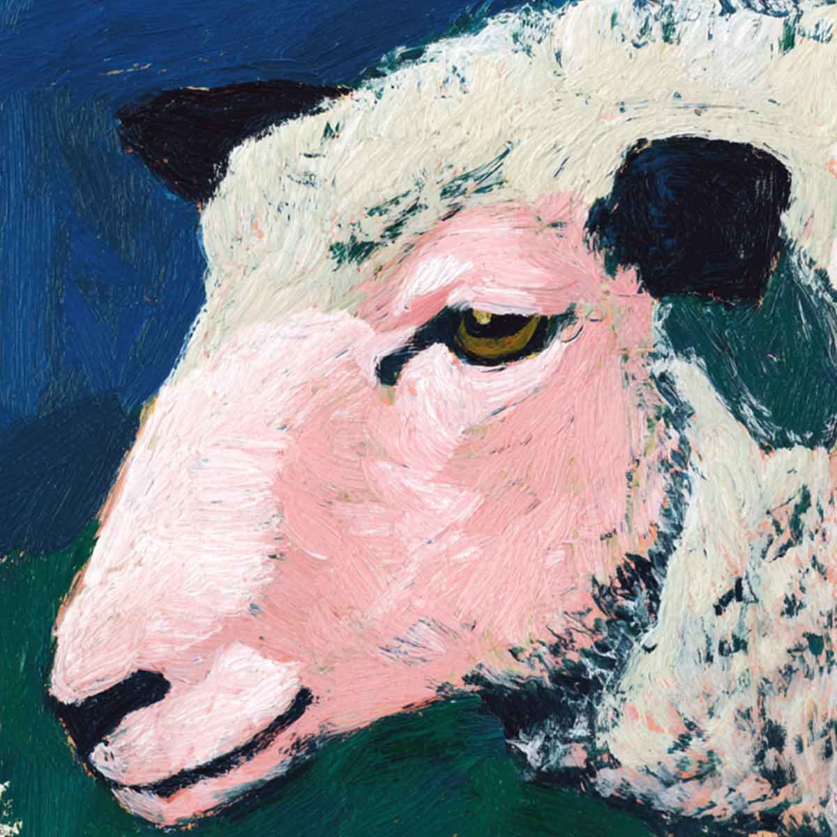 Natural fibres close-up