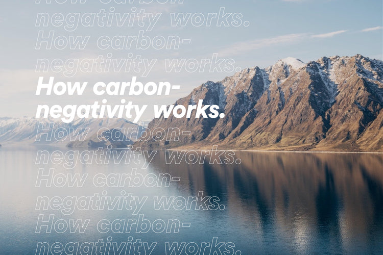 How carbon-negativity works. Image