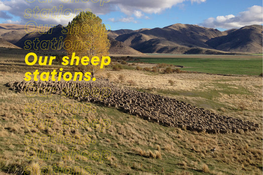 Our sheep stations.