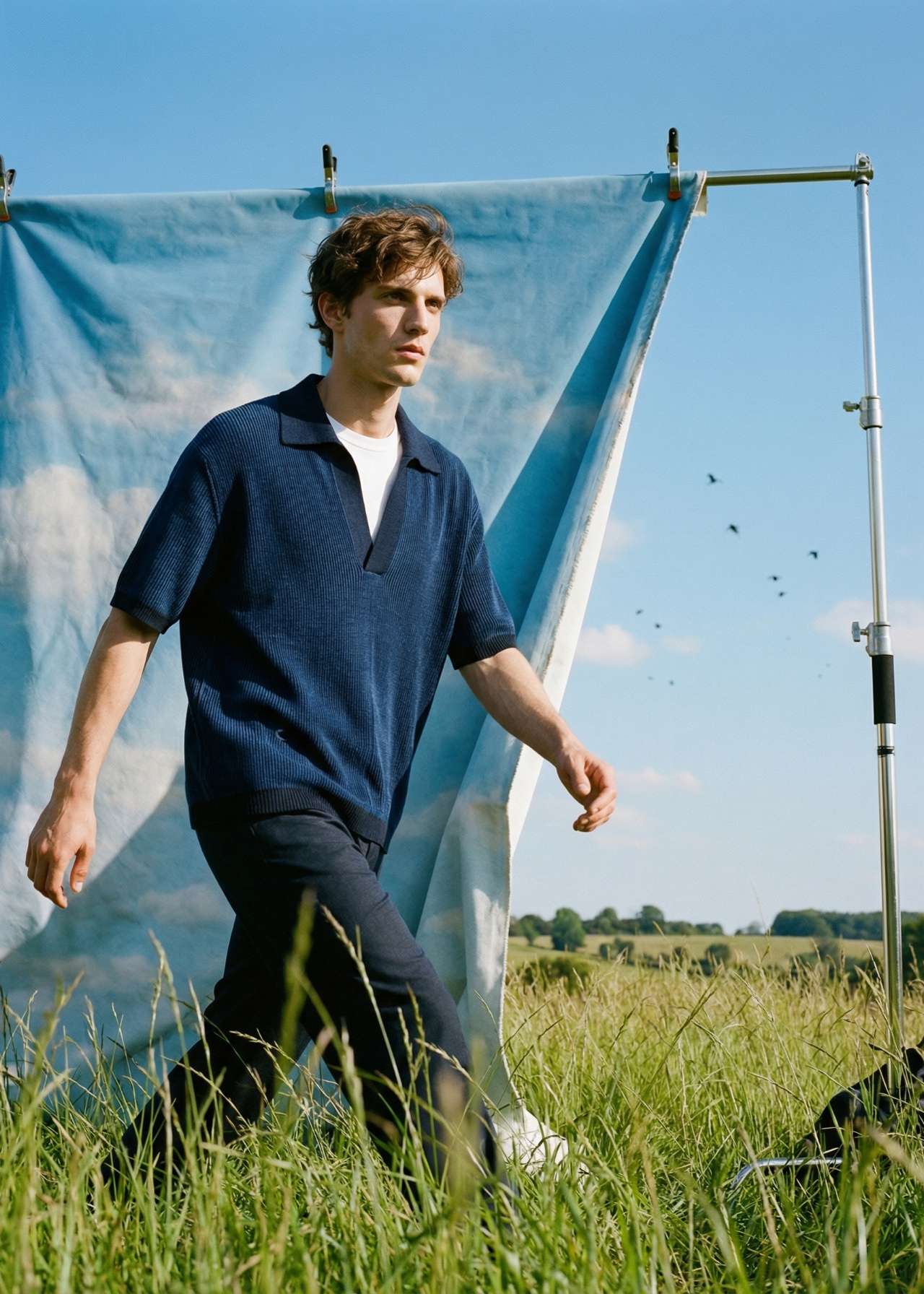 Men's Merino Wool T-Shirts & Polos | Sheep Inc.