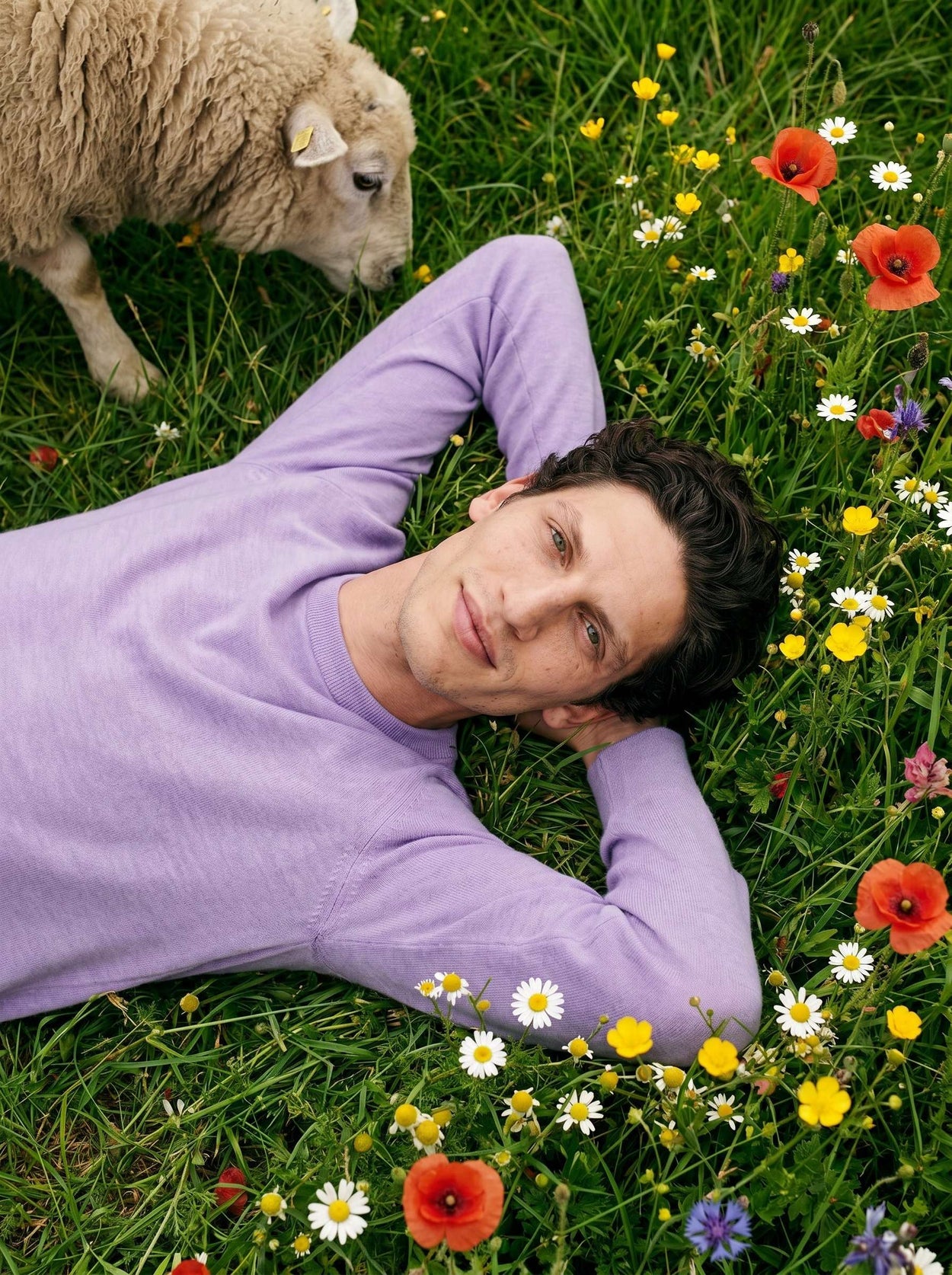 The Fine Knit Crewneck Lupin Lilac Male Image