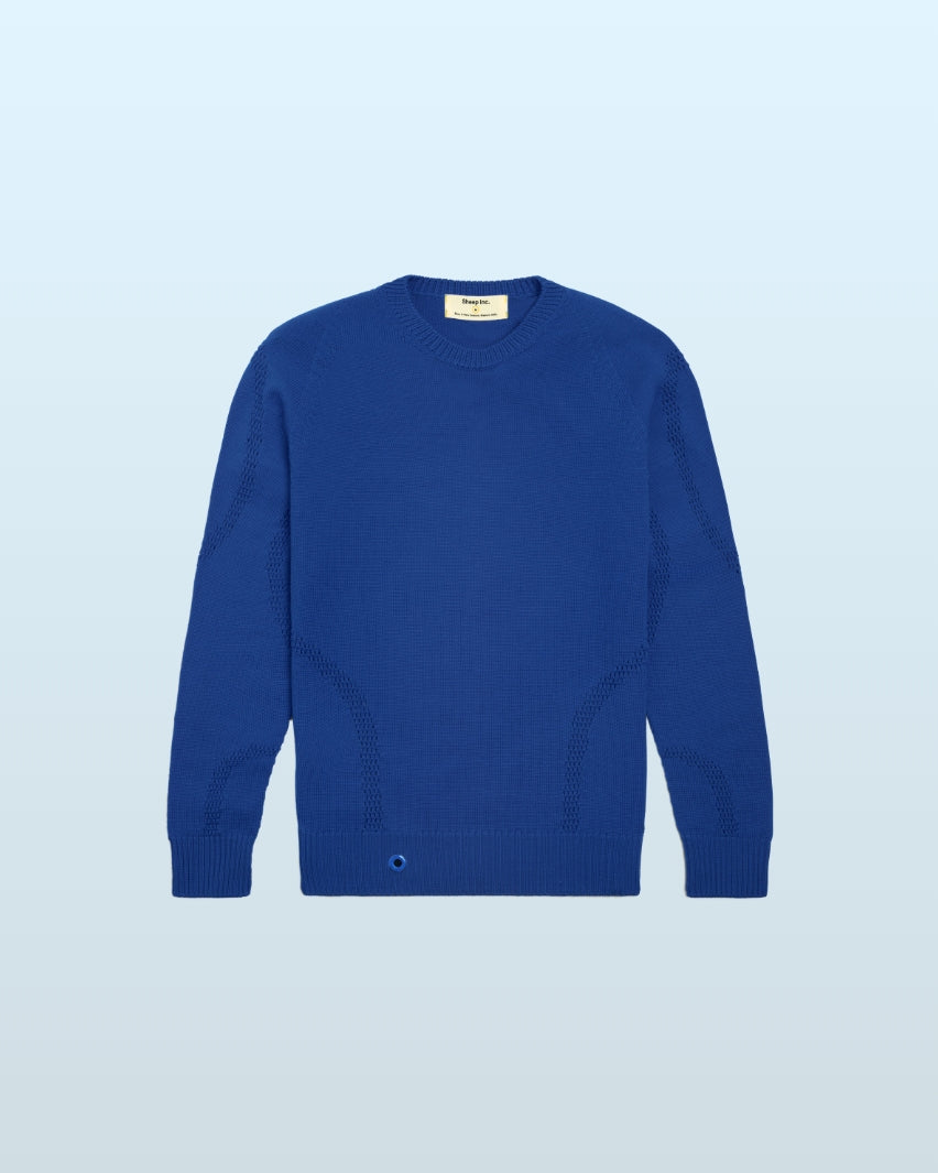 The Air Jumper: Electric Blue Image