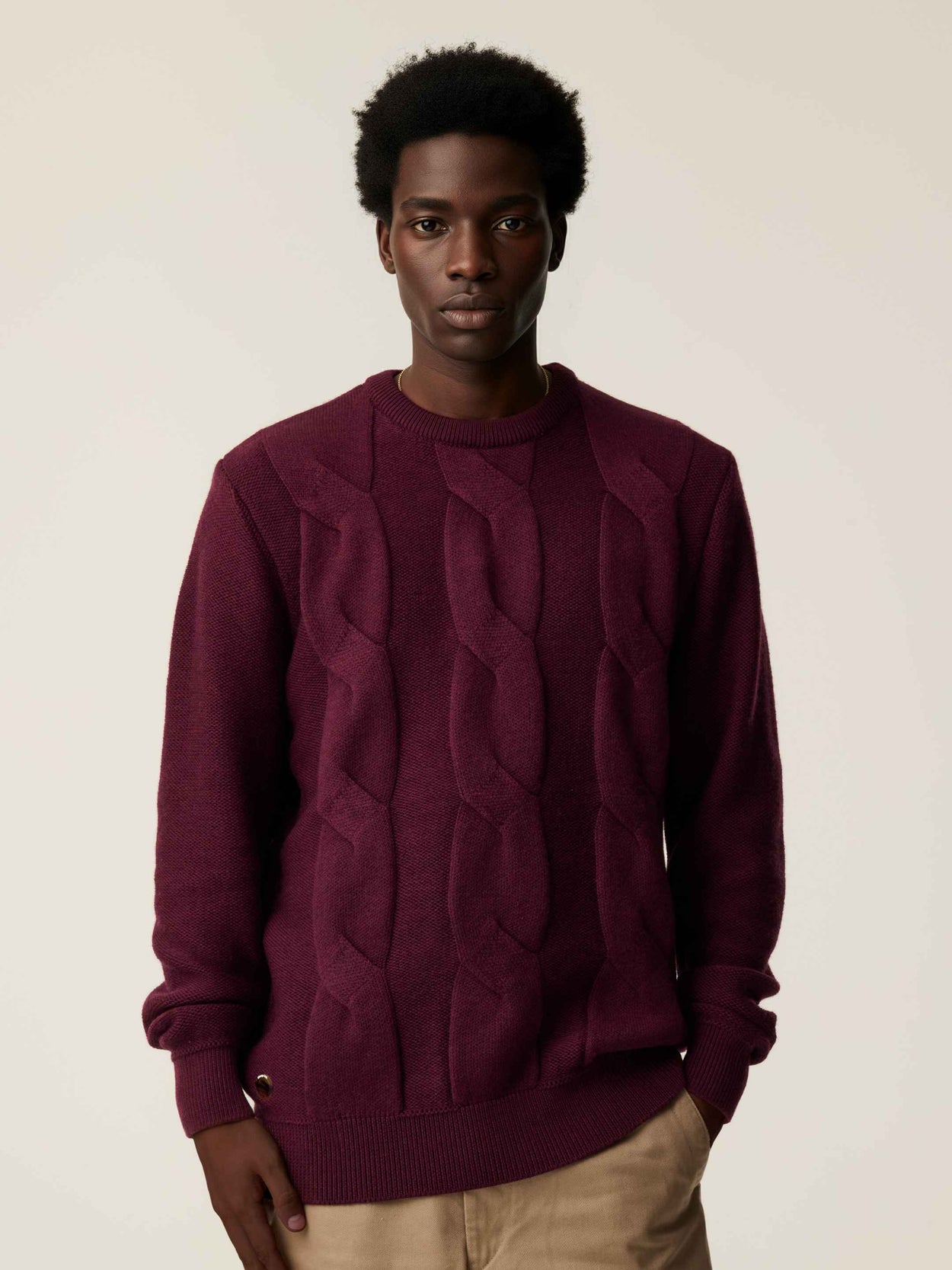 The Cable Knit Jumper Konini Burgundy Male Image