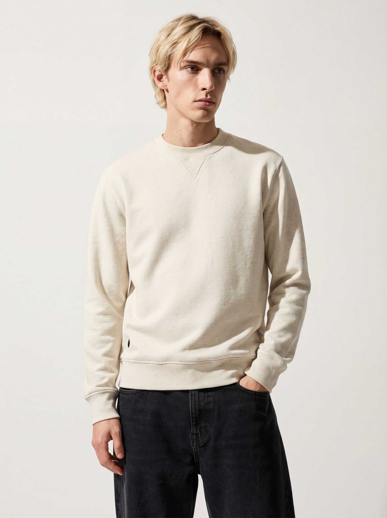 The Fibregen Sweatshirt Cloud Ash Male Image
