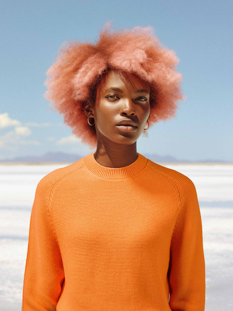 The Crewneck Persimmon Orange Image