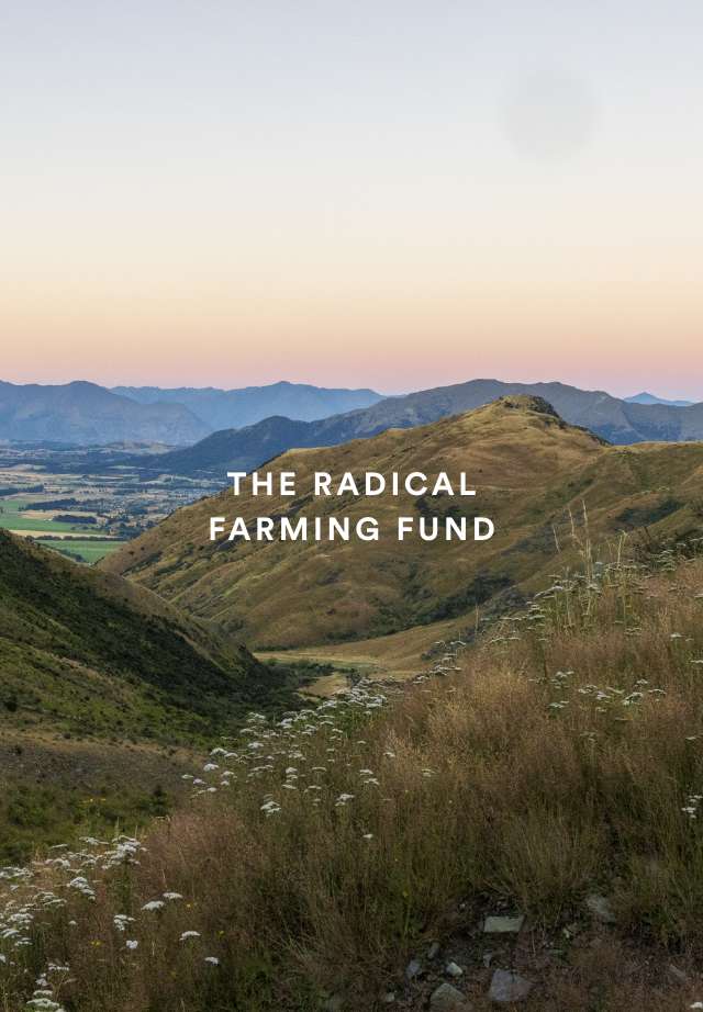 THE RADICAL FARMING FUND: GIVING BACK