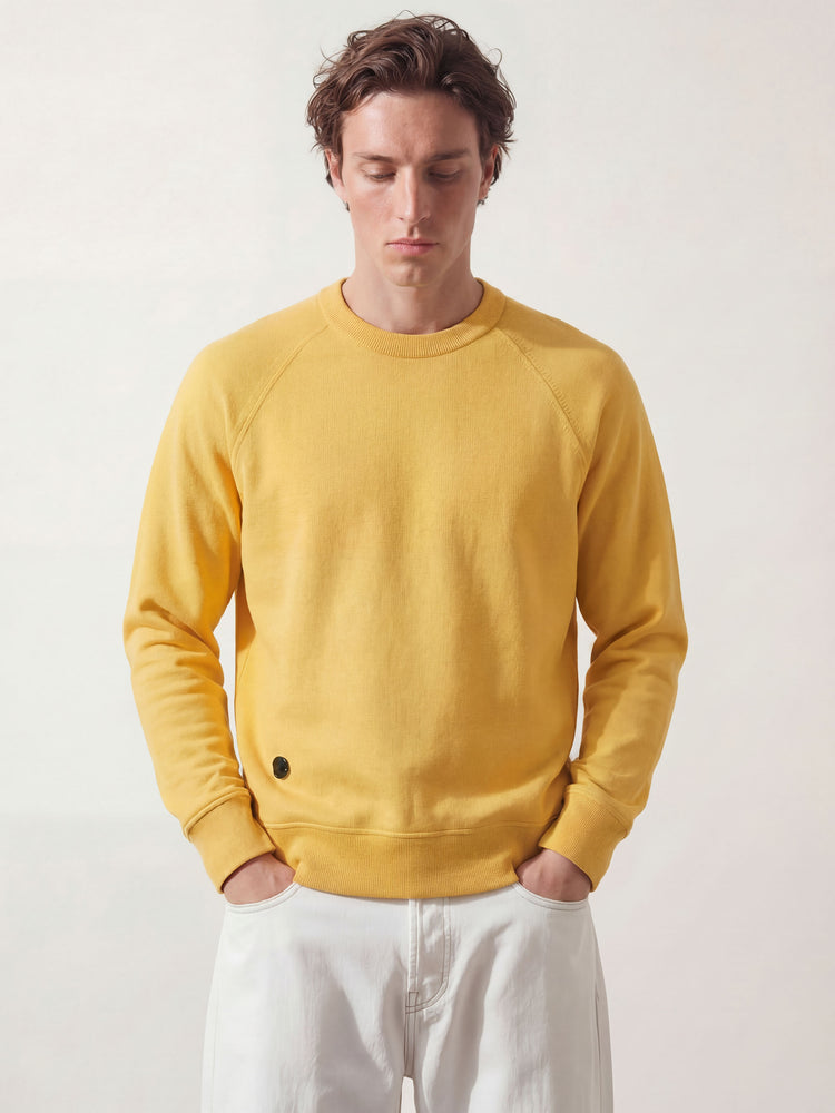 The Crewneck Light