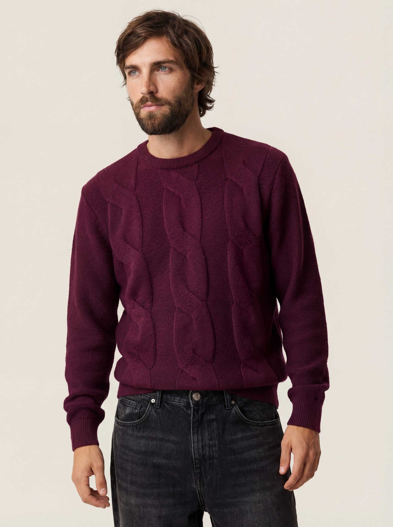 The Cable Knit Jumper Konini Burgundy Male Image