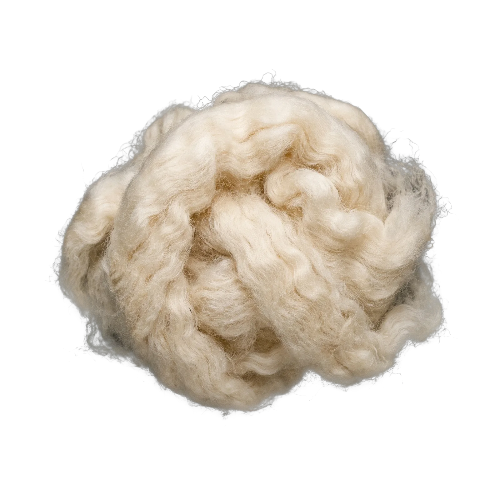 Raw fleece