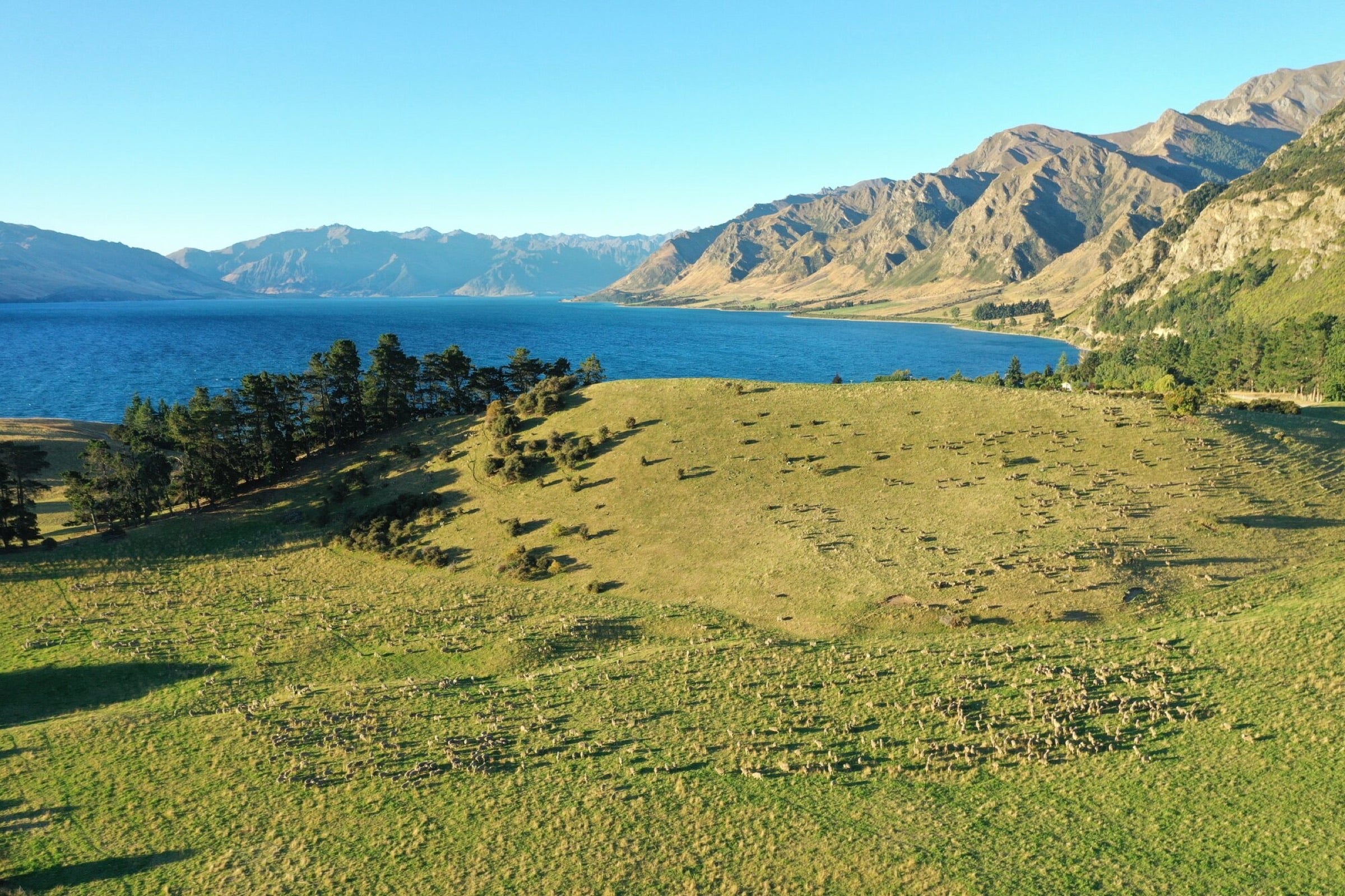 Lake Hāwea, Central Otago, New Zealand