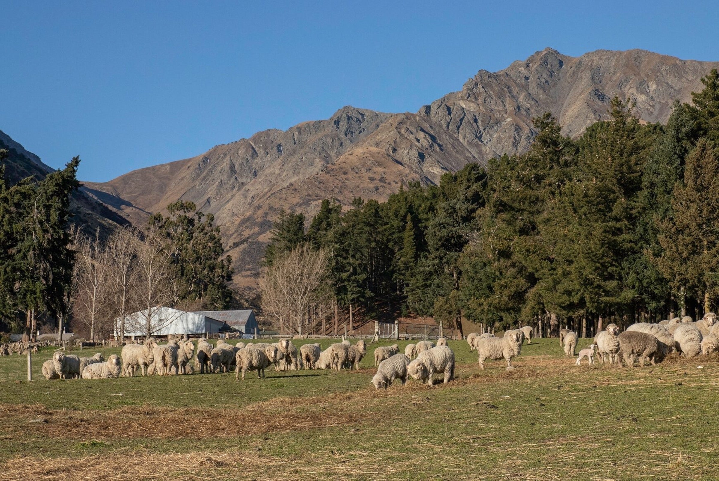 A named high-country station