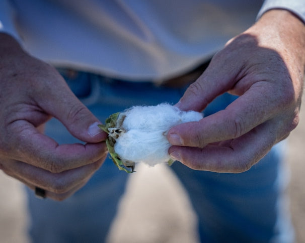 Hands holding raw fibre