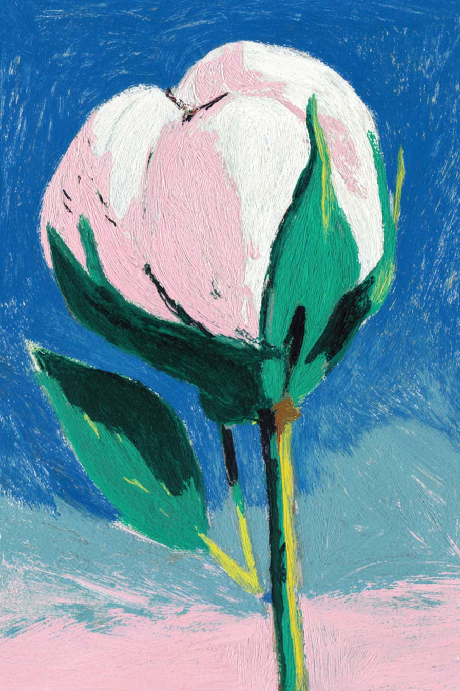 Illustrated pastoral landscape with sheep and cotton fields